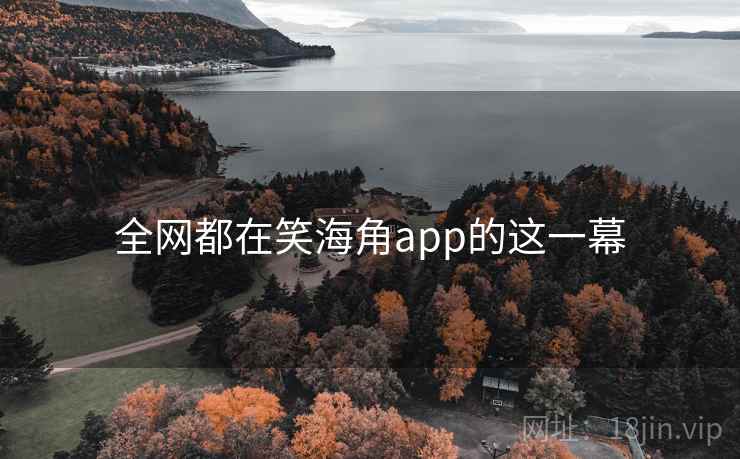 全网都在笑海角app的这一幕