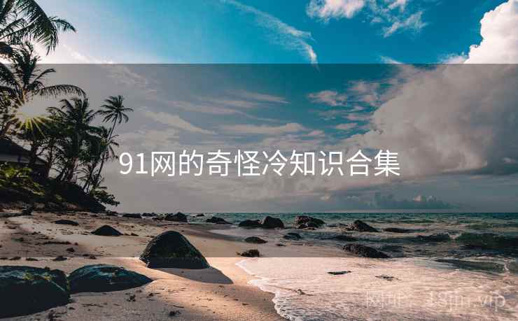 91网的奇怪冷知识合集