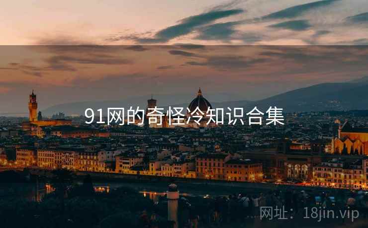 91网的奇怪冷知识合集