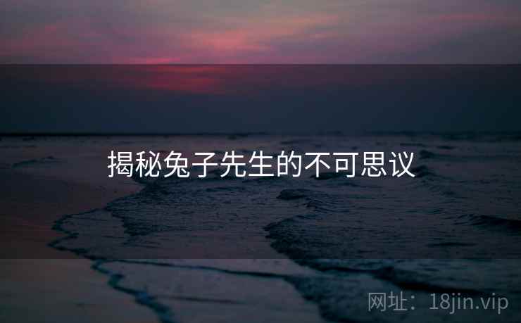 揭秘兔子先生的不可思议