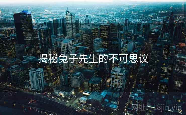 揭秘兔子先生的不可思议