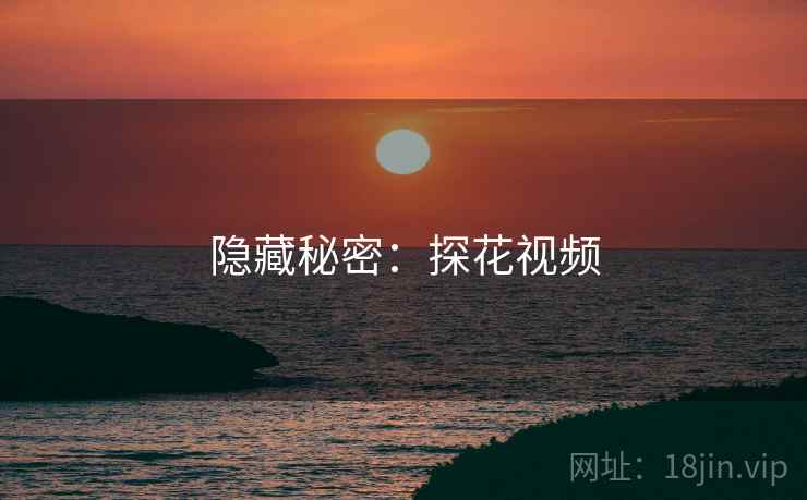 隐藏秘密：探花视频