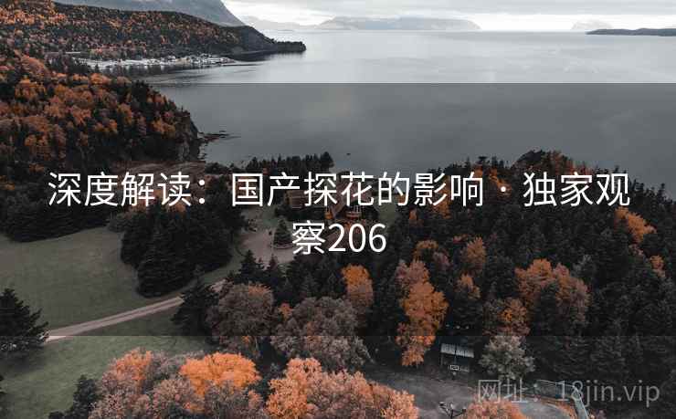 深度解读：国产探花的影响 · 独家观察206