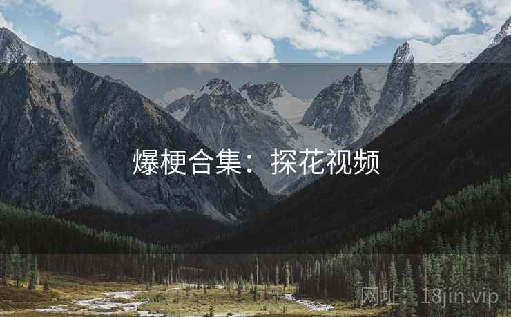 爆梗合集:探花视频 爆梗合集:探花视频