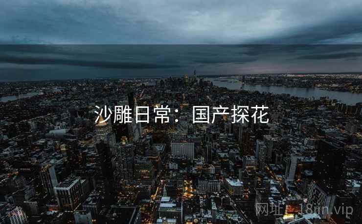沙雕日常：国产探花