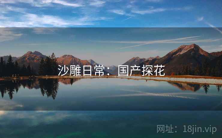 沙雕日常:国产探花